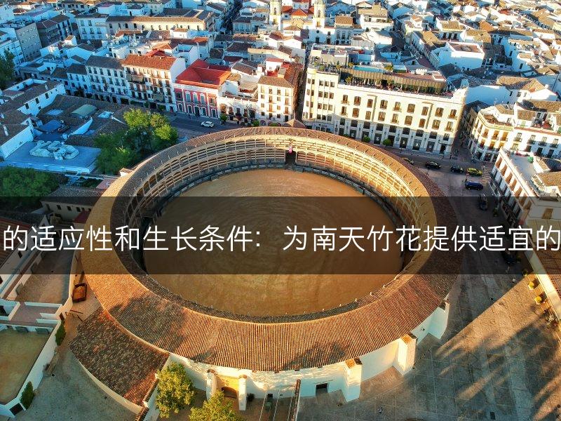 南天竹花的适应性和生长条件：为南天竹花提供适宜的生长环境(图1)