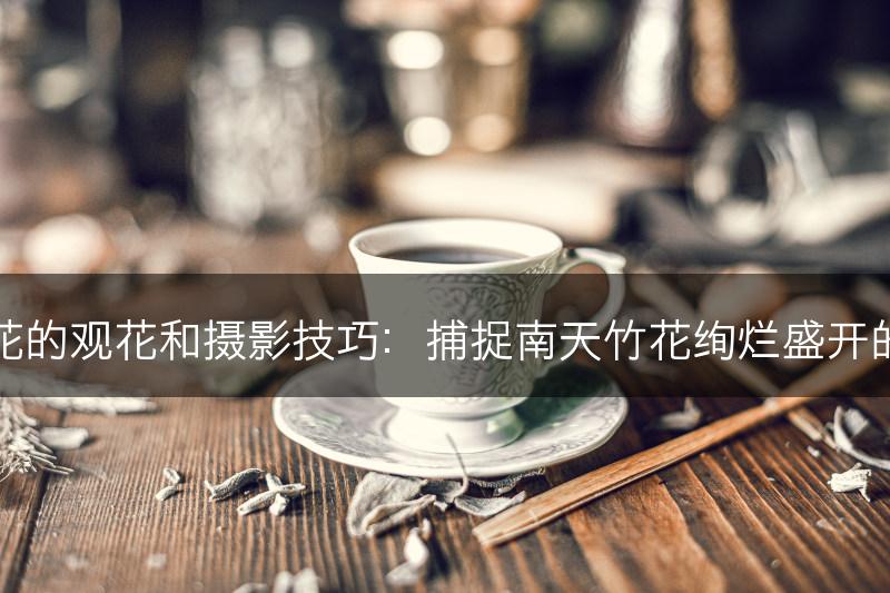 南天竹花的观花和摄影技巧：捕捉南天竹花绚烂盛开的瞬间美(图1)