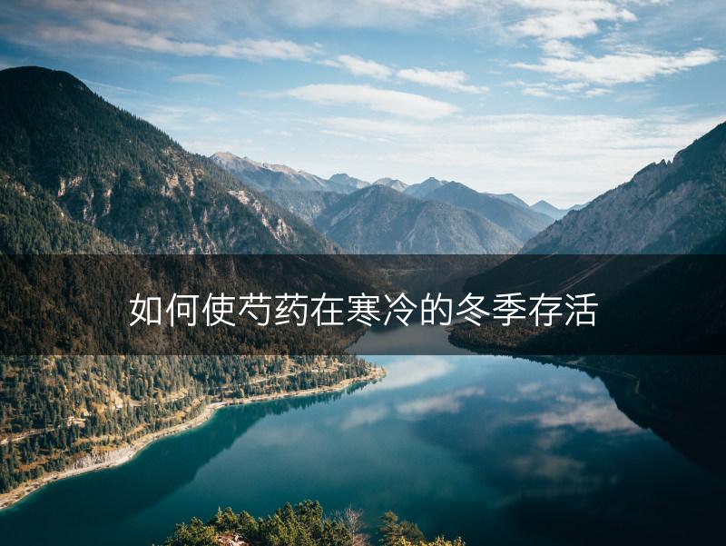 如何使芍药在寒冷的冬季存活(图1)