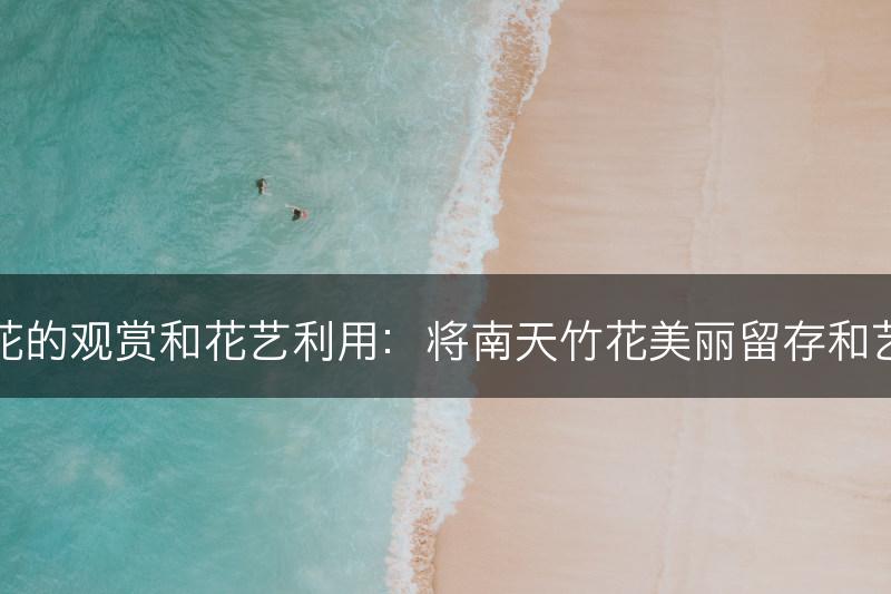 南天竹花的观赏和花艺利用：将南天竹花美丽留存和艺术表现(图1)