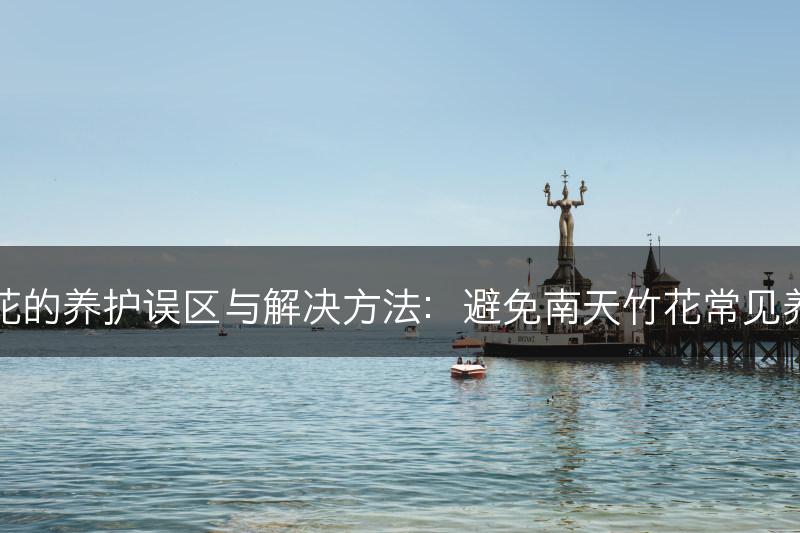 南天竹花的养护误区与解决方法：避免南天竹花常见养护错误(图1)