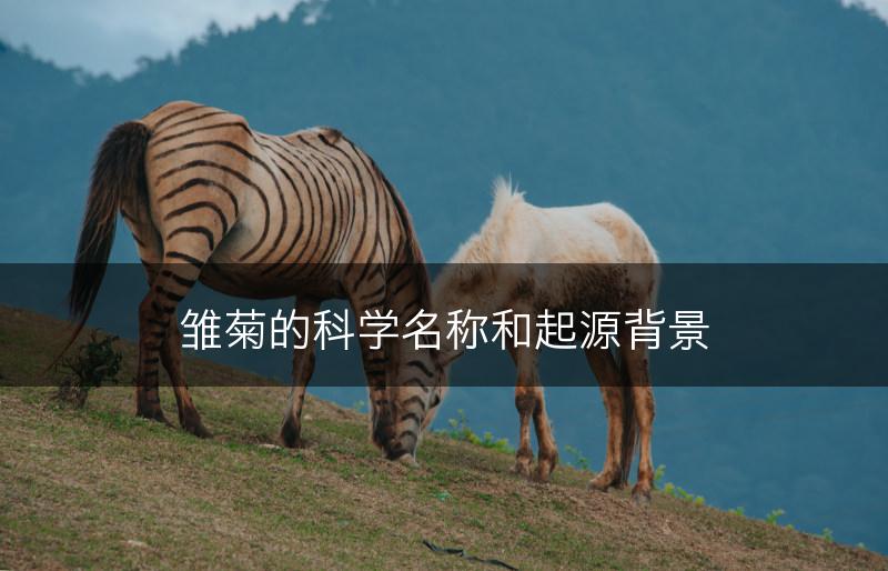 雏菊的科学名称和起源背景(图1)