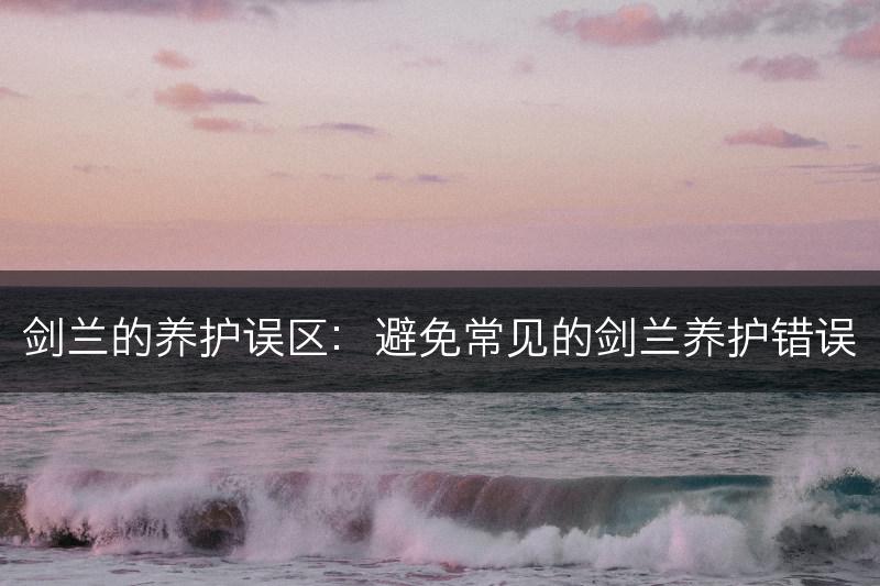 剑兰的养护误区：避免常见的剑兰养护错误(图1)