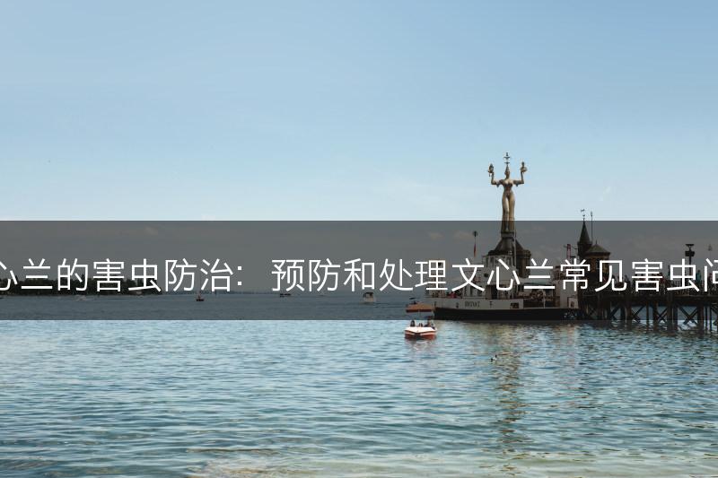 文心兰的害虫防治：预防和处理文心兰常见害虫问题(图1)