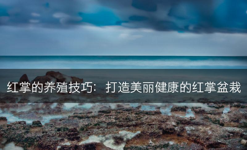 红掌的养殖技巧：打造美丽健康的红掌盆栽(图1)