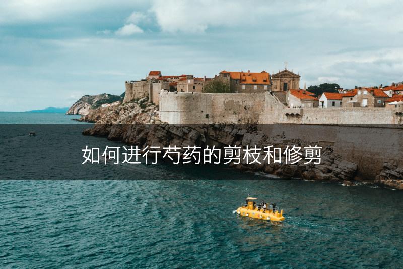 如何进行芍药的剪枝和修剪(图1)