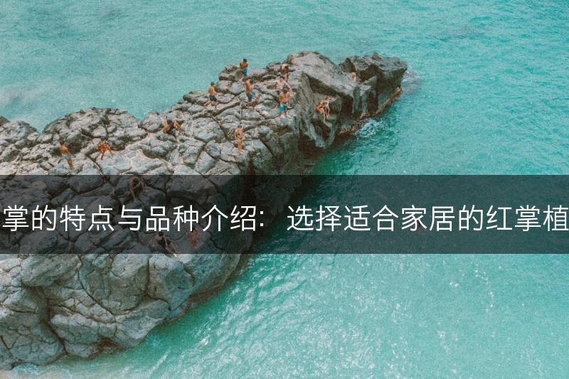 红掌的特点与品种介绍：选择适合家居的红掌植物(图1)