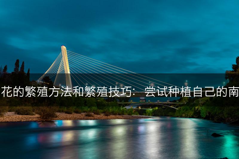 南天竹花的繁殖方法和繁殖技巧：尝试种植自己的南天竹花(图1)