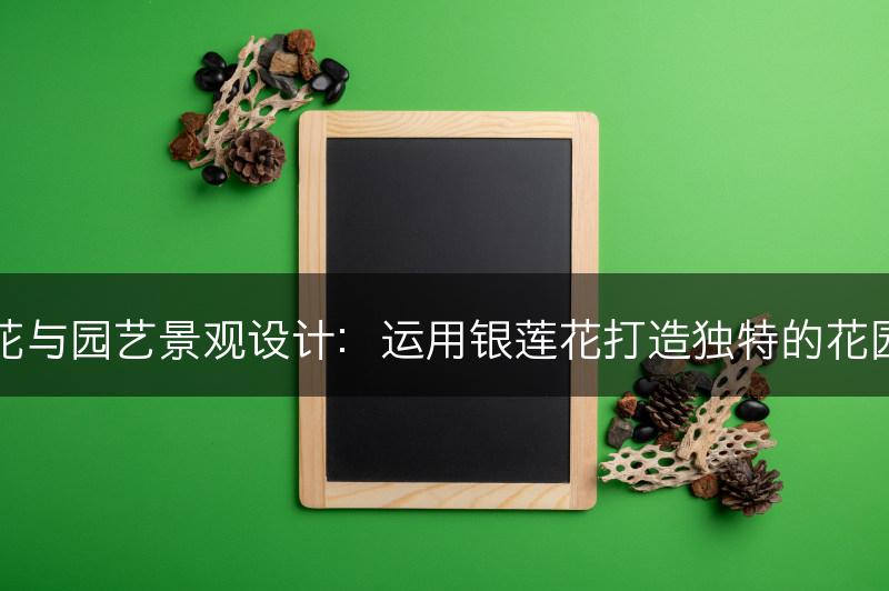银莲花与园艺景观设计：运用银莲花打造独特的花园风景(图1)