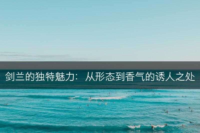 剑兰的独特魅力：从形态到香气的诱人之处(图1)