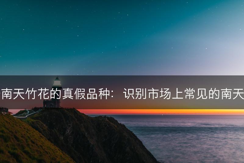 如何分辨南天竹花的真假品种：识别市场上常见的南天竹花假货(图1)