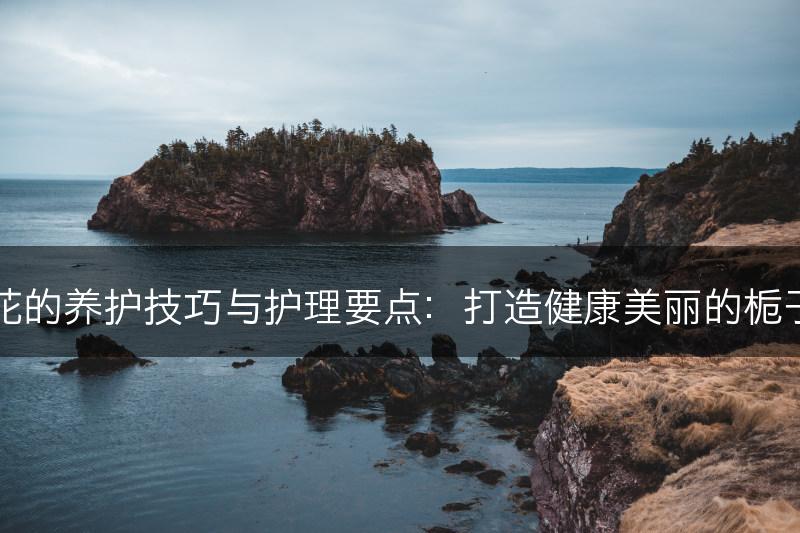 栀子花的养护技巧与护理要点：打造健康美丽的栀子花园(图1)