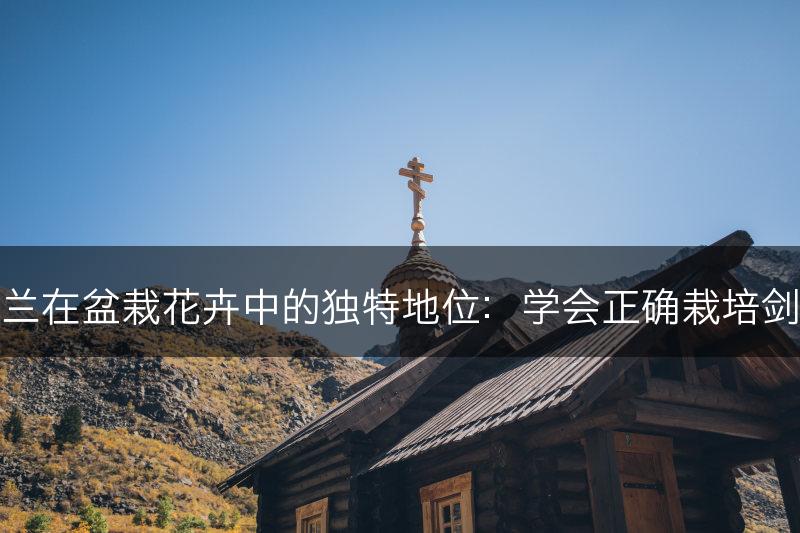 剑兰在盆栽花卉中的独特地位：学会正确栽培剑兰(图1)