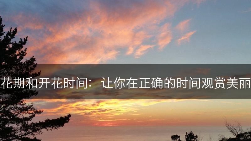 剑兰花期和开花时间：让你在正确的时间观赏美丽花朵(图1)