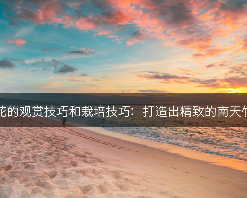南天竹花的观赏技巧和栽培技巧：打造出精致的南天竹花盆景(图1)