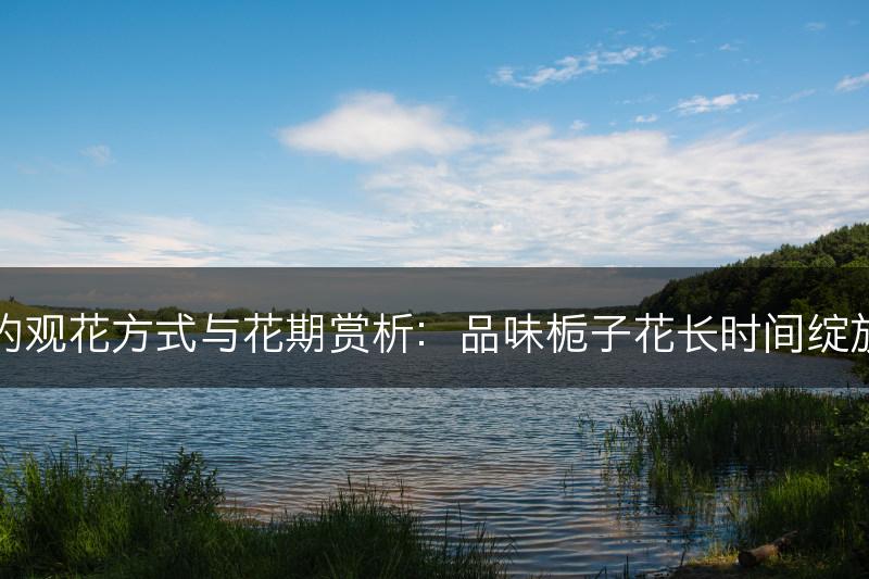 栀子花的观花方式与花期赏析：品味栀子花长时间绽放的美丽(图1)