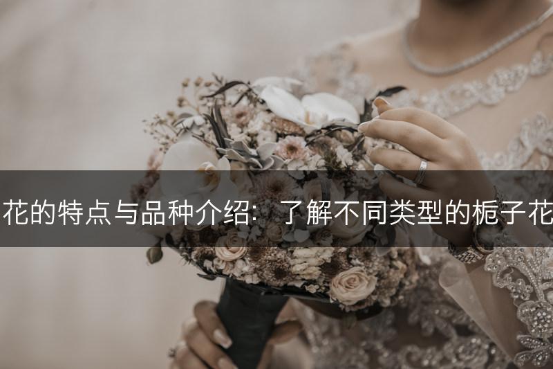 栀子花的特点与品种介绍：了解不同类型的栀子花品种(图1)