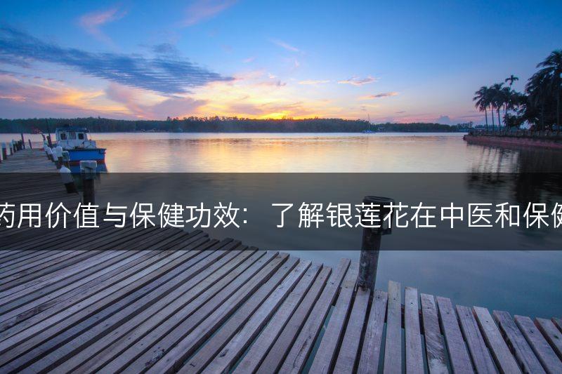 银莲花的药用价值与保健功效：了解银莲花在中医和保健中的应用(图1)