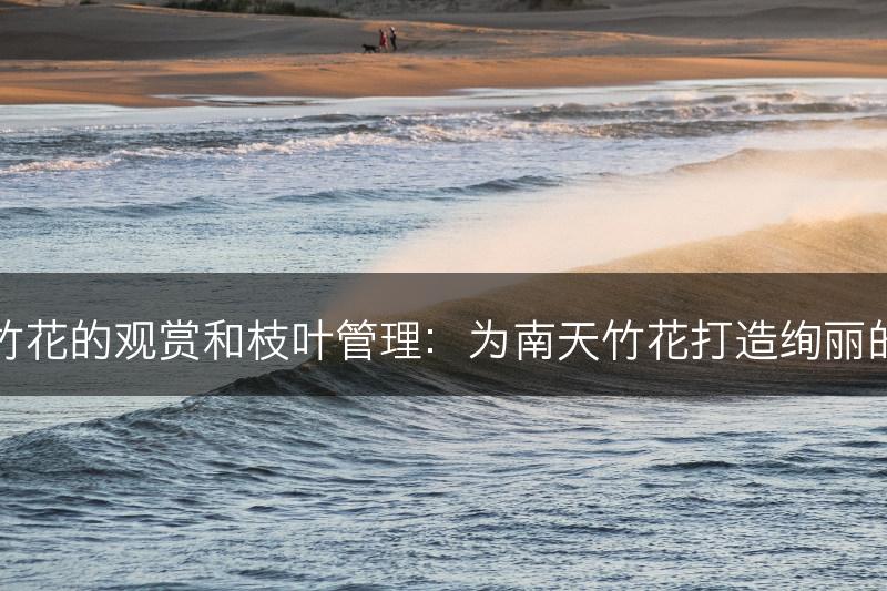 南天竹花的观赏和枝叶管理：为南天竹花打造绚丽的花朵(图1)