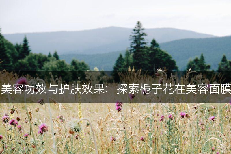 栀子花的美容功效与护肤效果：探索栀子花在美容面膜中的应用(图1)