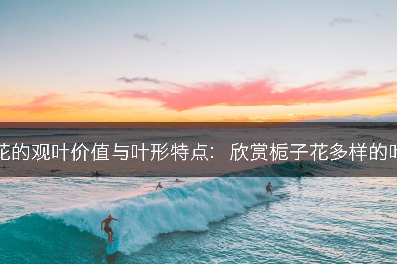 栀子花的观叶价值与叶形特点：欣赏栀子花多样的叶子美(图1)