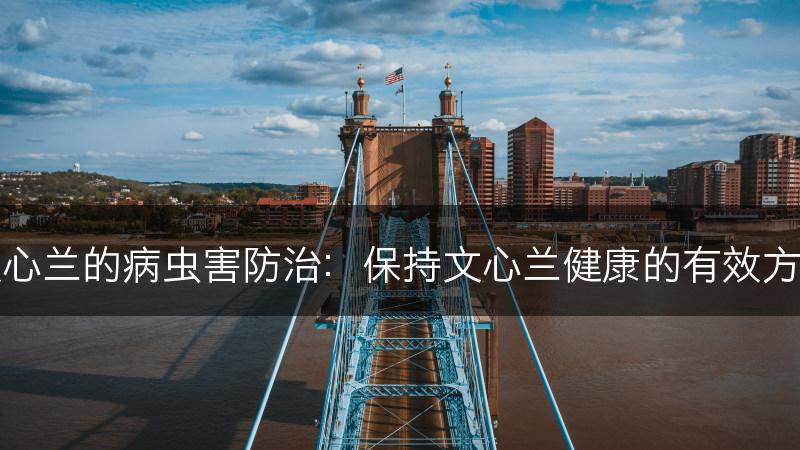 文心兰的病虫害防治：保持文心兰健康的有效方法(图1)