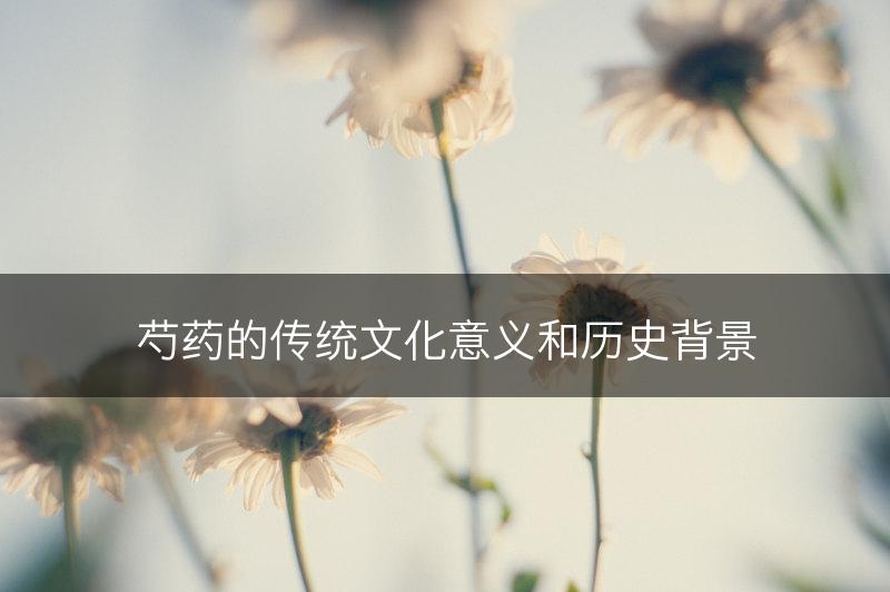 芍药的传统文化意义和历史背景(图1)