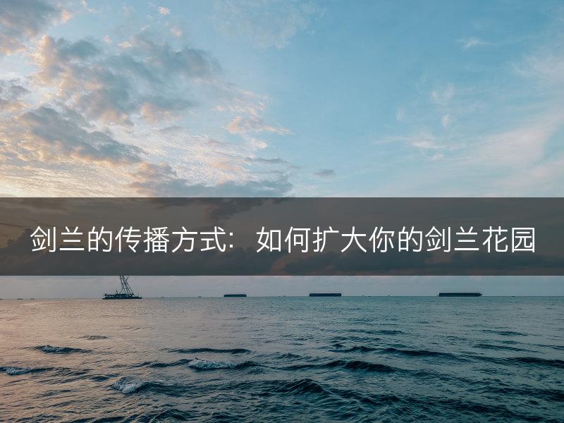 剑兰的传播方式：如何扩大你的剑兰花园(图1)