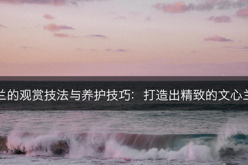 文心兰的观赏技法与养护技巧：打造出精致的文心兰花坛(图1)