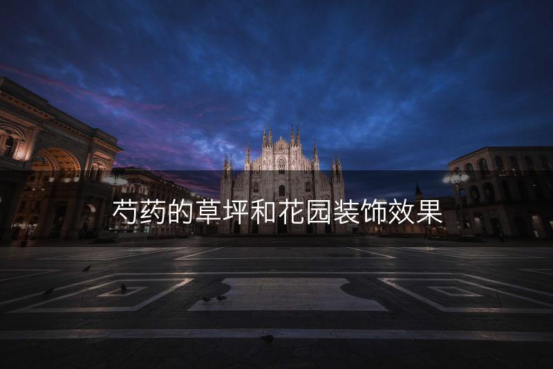 芍药的草坪和花园装饰效果(图1)