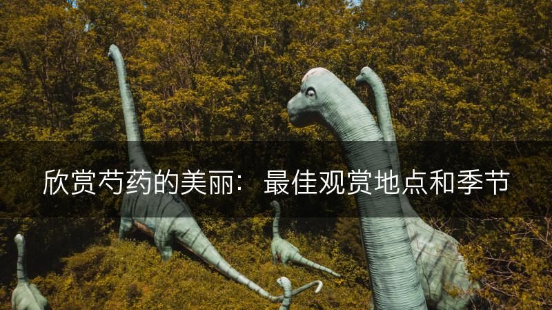 欣赏芍药的美丽：最佳观赏地点和季节(图1)