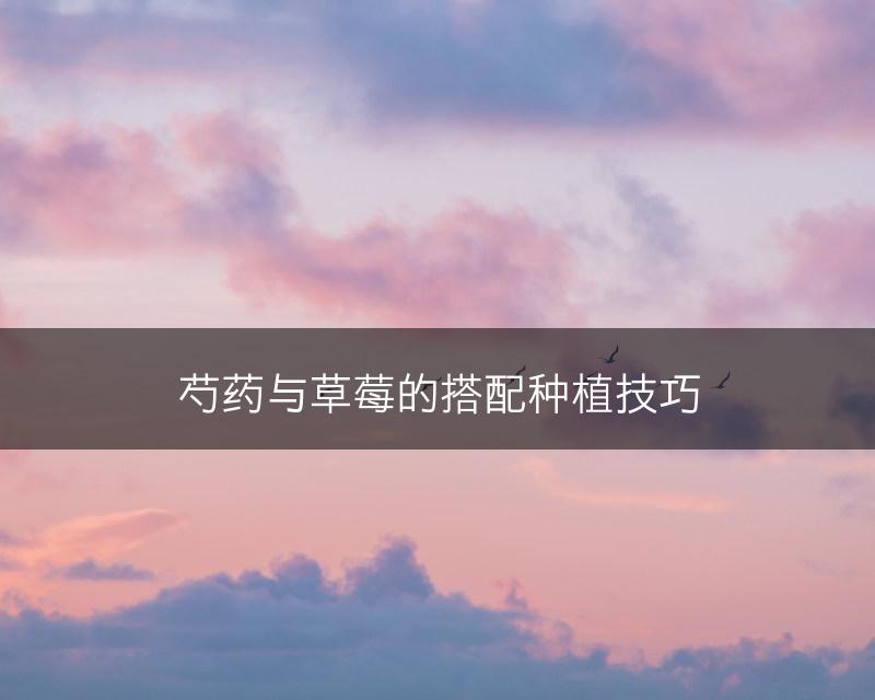 芍药与草莓的搭配种植技巧(图1)