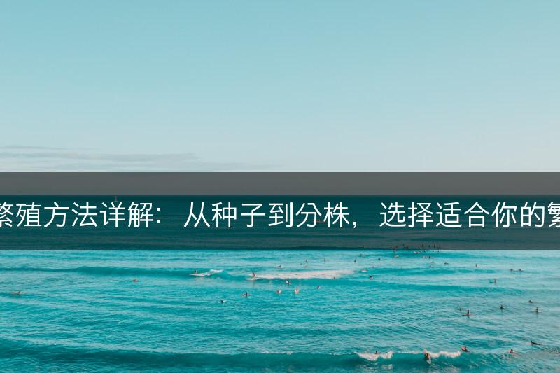 剑兰的繁殖方法详解：从种子到分株，选择适合你的繁殖方式(图1)