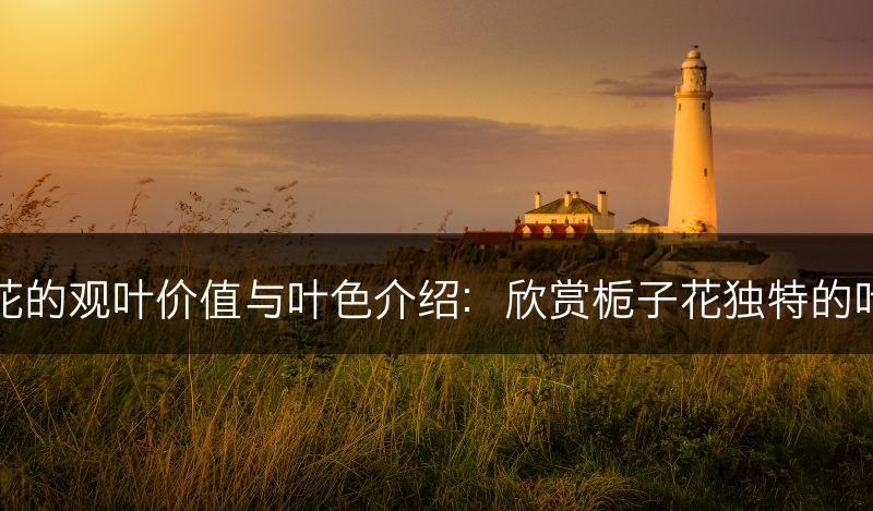 栀子花的观叶价值与叶色介绍：欣赏栀子花独特的叶片美(图1)