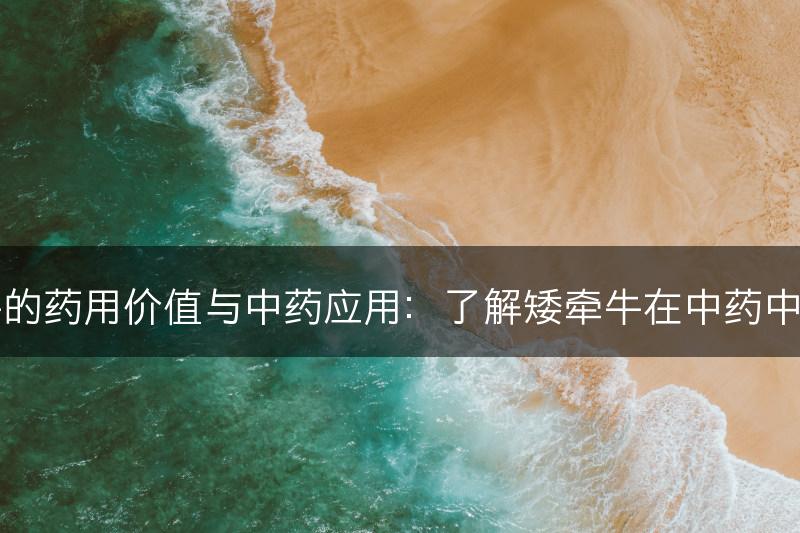 矮牵牛的药用价值与中药应用：了解矮牵牛在中药中的作用(图1)
