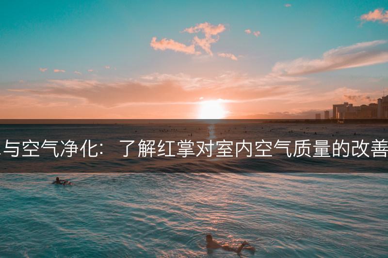 红掌与空气净化：了解红掌对室内空气质量的改善作用(图1)
