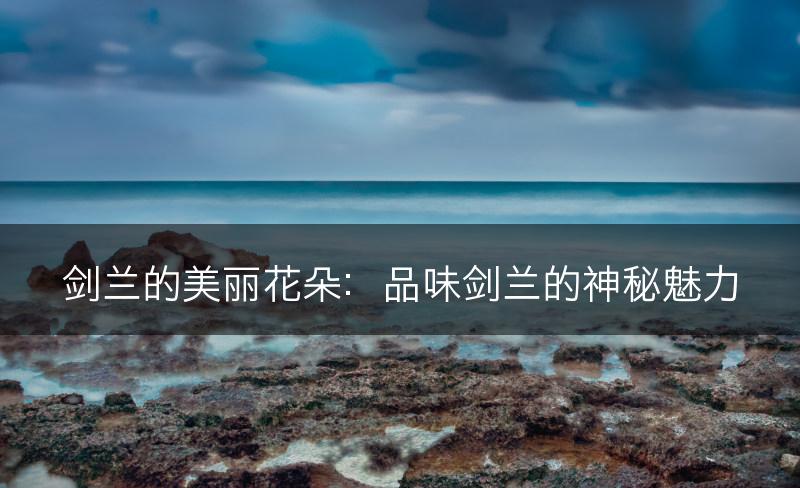 剑兰的美丽花朵：品味剑兰的神秘魅力(图1)