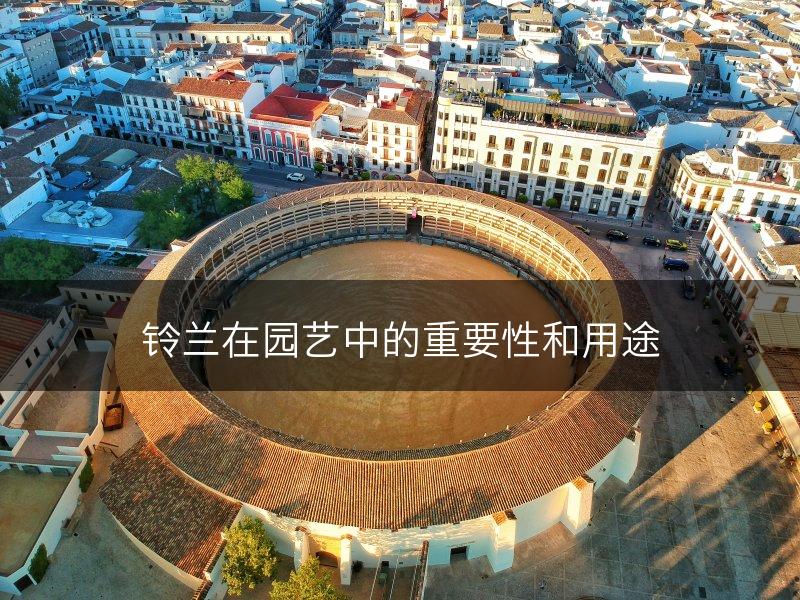 铃兰在园艺中的重要性和用途(图1)