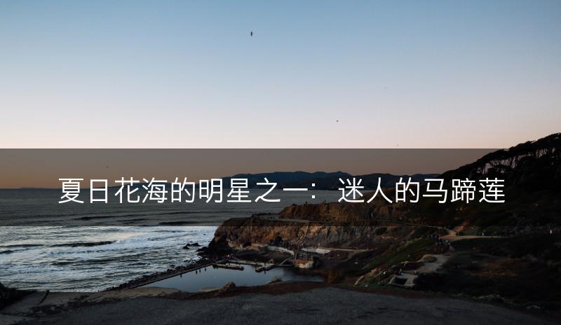 夏日花海的明星之一：迷人的马蹄莲(图1)