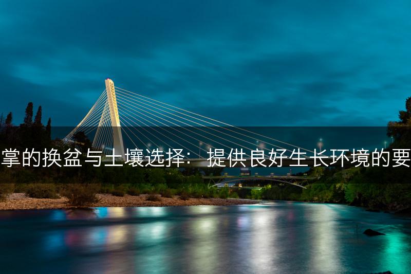 红掌的换盆与土壤选择：提供良好生长环境的要点(图1)