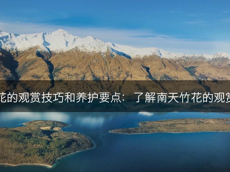 南天竹花的观赏技巧和养护要点：了解南天竹花的观赏和养护(图1)