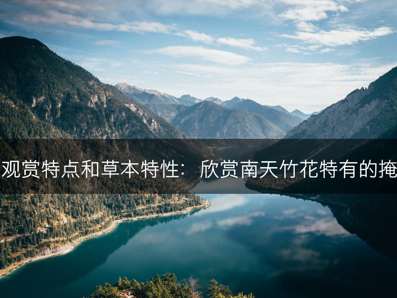 南天竹花的观赏特点和草本特性：欣赏南天竹花特有的掩映草丛的美(图1)