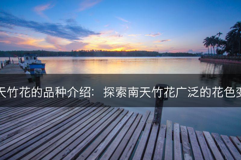 南天竹花的品种介绍：探索南天竹花广泛的花色变化(图1)