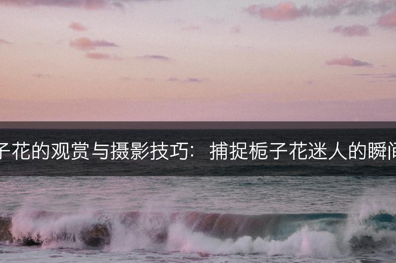 栀子花的观赏与摄影技巧：捕捉栀子花迷人的瞬间美(图1)