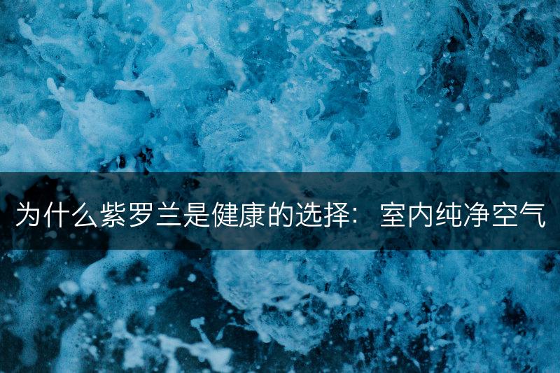 为什么紫罗兰是健康的选择：室内纯净空气(图1)