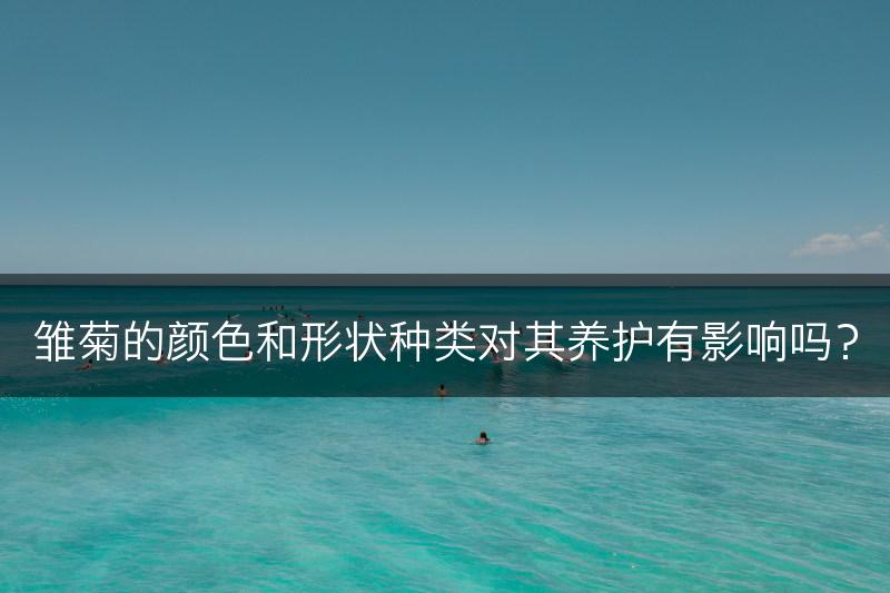 雏菊的颜色和形状种类对其养护有影响吗？(图1)