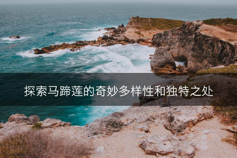 探索马蹄莲的奇妙多样性和独特之处(图1)