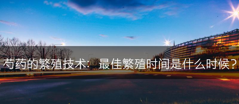 芍药的繁殖技术：最佳繁殖时间是什么时候？(图1)