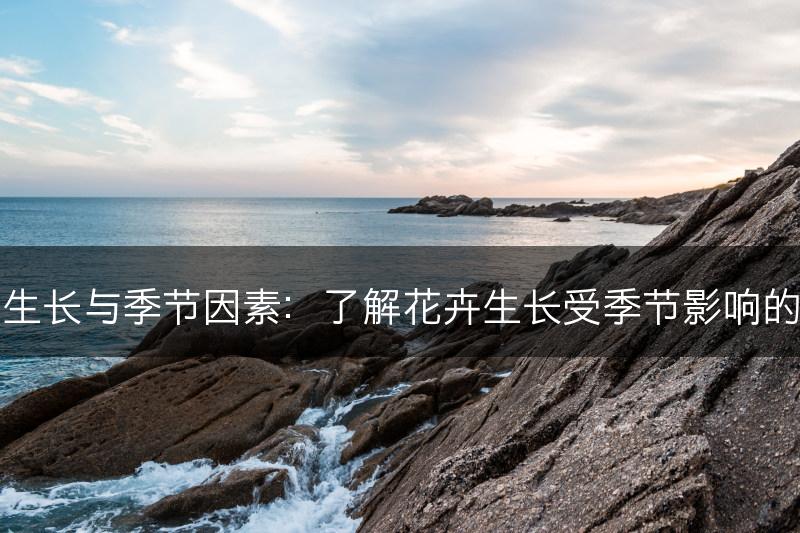 花的生长与季节因素：了解花卉生长受季节影响的特点(图1)
