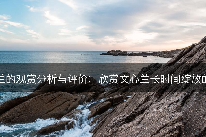 文心兰的观赏分析与评价:欣赏文心兰长时间绽放的美丽(图1) 文心兰的观赏分析与评价:欣赏文心兰长时间绽放的美丽(图1)